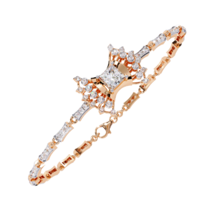 BR-003 (1)